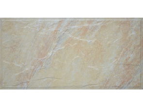 價格合理的仿古磚要到哪買 仿古磚廠家批發(fā)