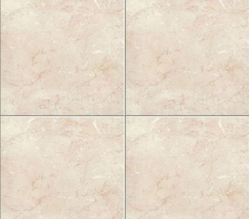 箭牌瓷磚質量解析 品質是否可信？